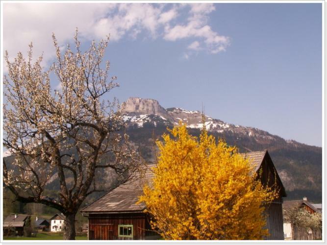 Ferienwohnung Haus Einhirn Altaussee Esterno foto