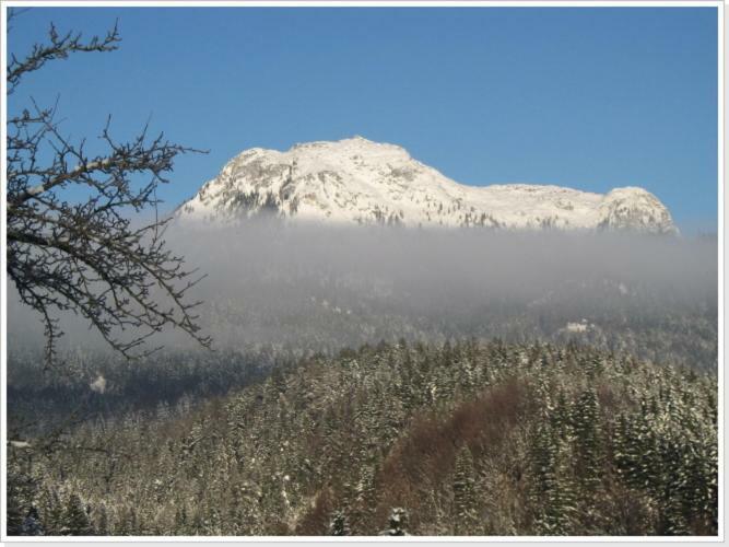 Ferienwohnung Haus Einhirn Altaussee Esterno foto