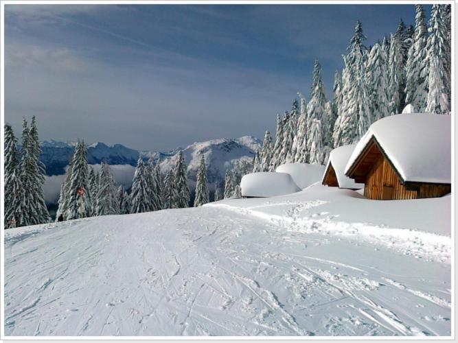 Ferienwohnung Haus Einhirn Altaussee Esterno foto